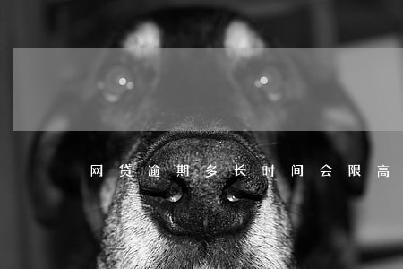 网贷逾期多长时间会限高 网贷逾期多长时间会限高