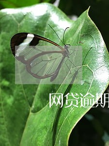 网贷逾期多长时间催款 网贷逾期多长时间催款
