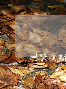网贷逾期多长时间可以立案 网贷逾期多长时间可以立案