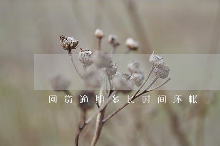 网贷逾期多长时间坏帐 网贷逾期多长时间坏帐