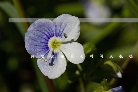 网贷逾期多长时间大数据算烂了 网贷逾期多长时间大数据算烂了