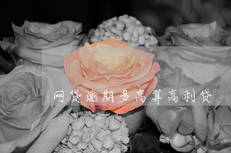 网贷逾期多高算高利贷 网贷逾期多高算高利贷