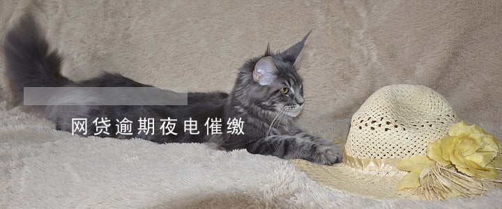 网贷逾期夜电催缴 网贷逾期夜电催缴