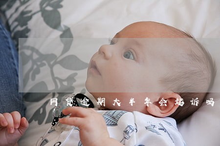 网贷逾期大半年会起诉吗