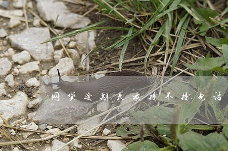网贷逾期大家接不接电话 网贷逾期大家接不接电话