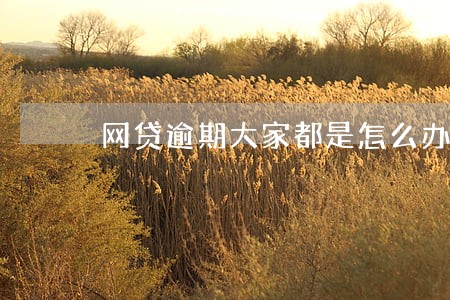 网贷逾期大家都是怎么办的 网贷逾期大家都是怎么办的