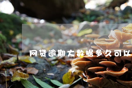 网贷逾期大数据多久可以消除 网贷逾期大数据多久可以消除