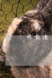 网贷逾期大数据有记录吗 网贷逾期大数据有记录吗