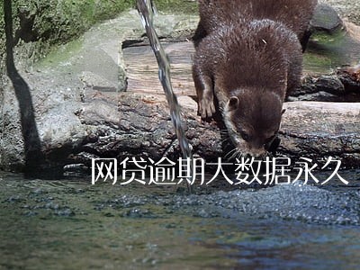 网贷逾期大数据永久 网贷逾期大数据永久