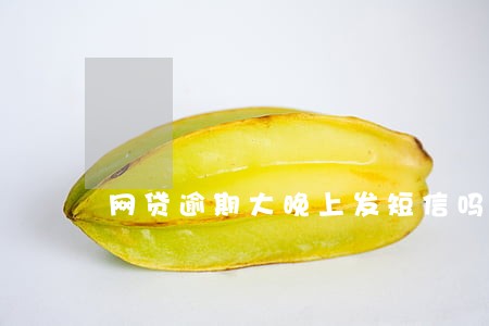网贷逾期大晚上发短信吗 网贷逾期大晚上发短信吗
