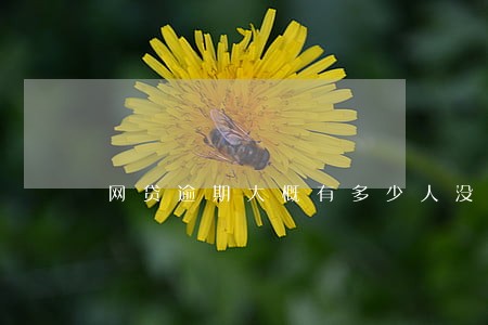 网贷逾期大概有多少人没还 网贷逾期大概有多少人没还