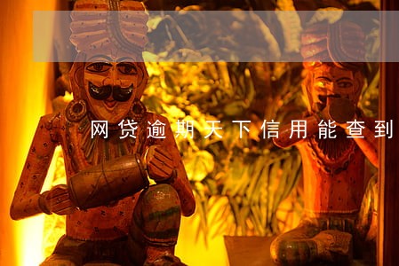 网贷逾期天下信用能查到吗 网贷逾期天下信用能查到吗