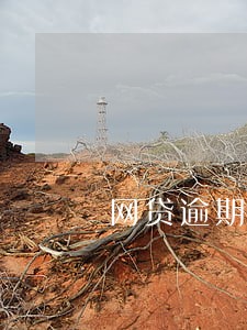 网贷逾期天会打电话 网贷逾期天会打电话