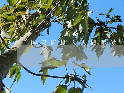 网贷逾期天天做噩梦 网贷逾期天天做噩梦