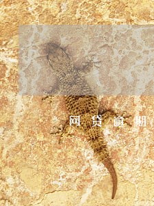 网贷逾期天天催 网贷逾期天天催