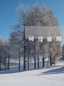 网贷逾期天天催会报警吗 网贷逾期天天催会报警吗