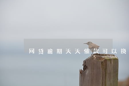 网贷逾期天天催款可以换号码 网贷逾期天天催款可以换号码