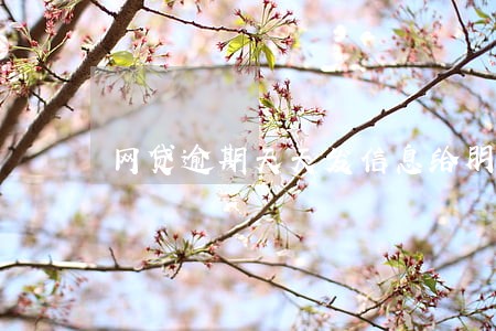 网贷逾期天天发信息给朋友