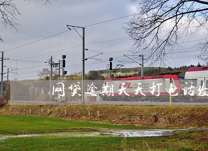 网贷逾期天天打电话发信息怎么办 网贷逾期天天打电话发信息怎么办