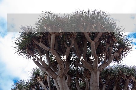 网贷逾期天天电话