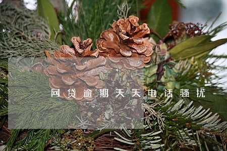 网贷逾期天天电话骚扰 网贷逾期天天电话骚扰