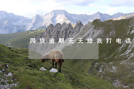 网贷逾期天天给我打电话怎么办 网贷逾期天天给我打电话怎么办