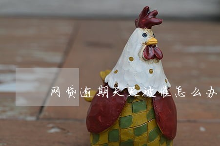 网贷逾期天天被催怎么办