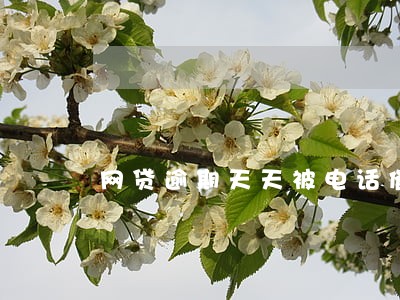 网贷逾期天天被电话催收 网贷逾期天天被电话催收
