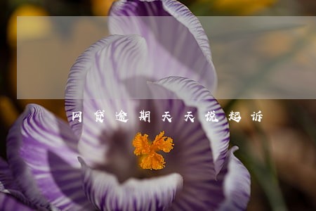网贷逾期天天说起诉 网贷逾期天天说起诉