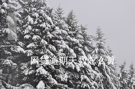 网贷逾期天数怎么算 网贷逾期天数怎么算