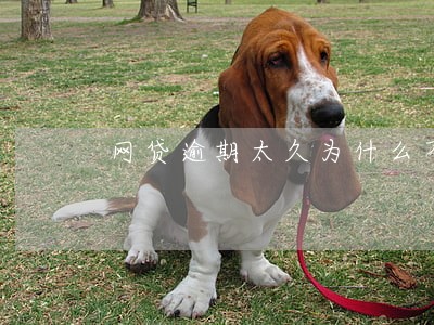 网贷逾期太久为什么不扣钱了