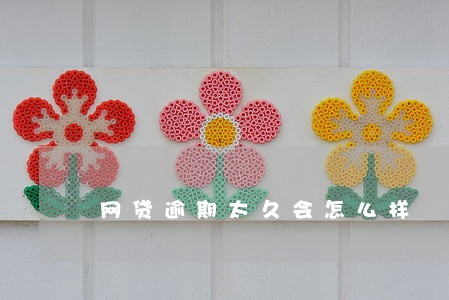 网贷逾期太久会怎么样 网贷逾期太久会怎么样