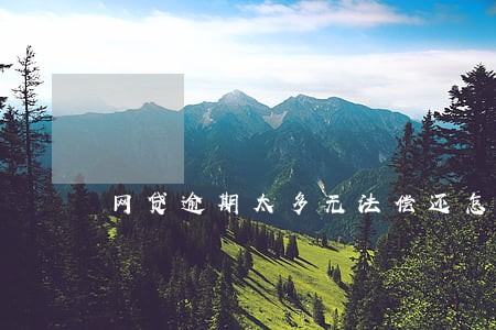 网贷逾期太多无法偿还怎么办 网贷逾期太多无法偿还怎么办