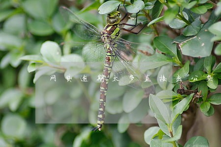 网贷逾期太多直接去公安局 网贷逾期太多直接去公安局