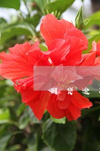 网贷逾期太多还能网贷吗 网贷逾期太多还能网贷吗