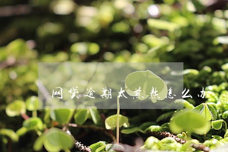 网贷逾期太煎熬怎么办 网贷逾期太煎熬怎么办