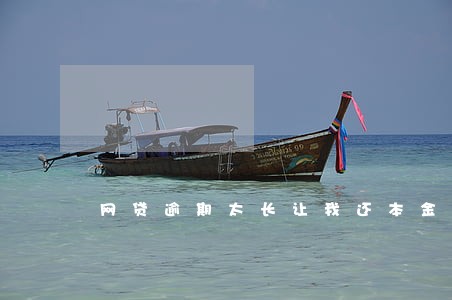 网贷逾期太长让我还本金