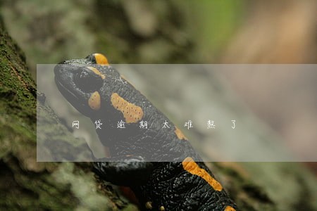 网贷逾期太难熬了 网贷逾期太难熬了