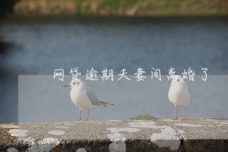网贷逾期夫妻间离婚了 网贷逾期夫妻间离婚了