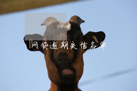 网贷逾期失信名单 网贷逾期失信名单
