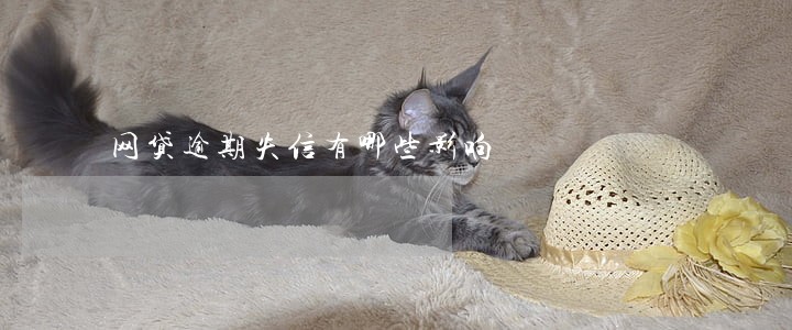 网贷逾期失信有哪些影响 网贷逾期失信有哪些影响