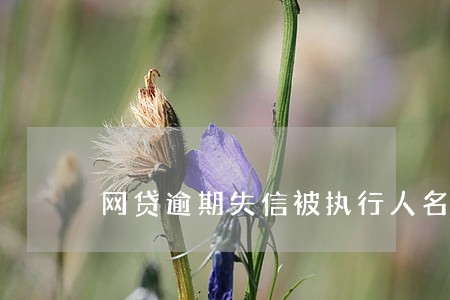 网贷逾期失信被执行人名单