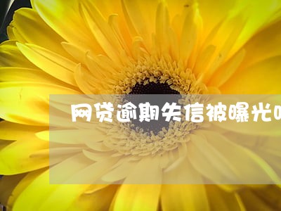 网贷逾期失信被曝光吗 网贷逾期失信被曝光吗