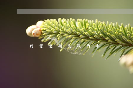 网贷逾期失联两年 网贷逾期失联两年