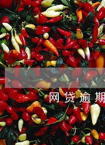 网贷逾期失联有用吗 网贷逾期失联有用吗