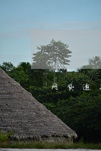 网贷逾期失联父母有义务还款吗 网贷逾期失联父母有义务还款吗