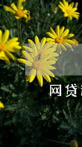 网贷逾期失联的后果 网贷逾期失联的后果