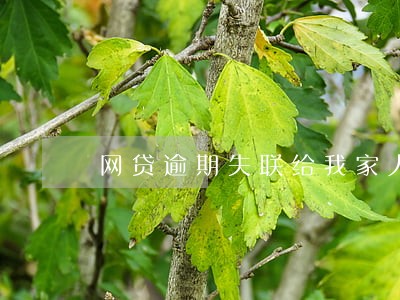 网贷逾期失联给我家人打电话 网贷逾期失联给我家人打电话