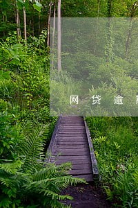网贷逾期失败 网贷逾期失败