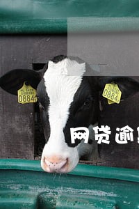 网贷逾期女朋友不帮忙 网贷逾期女朋友不帮忙